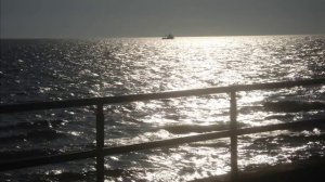 Psychotica - Ocean Of Hunger