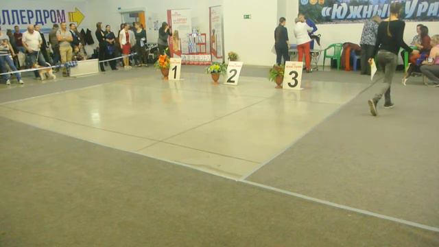 14.05.2017 Basenji Speciality, Chelyabinsk смотреть онлайн