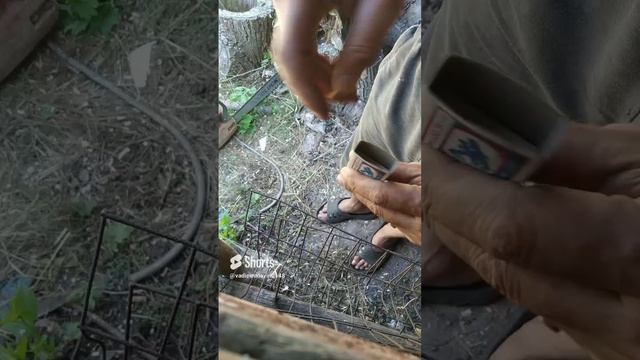 Зуммеры этого не знали смотреть онлайн