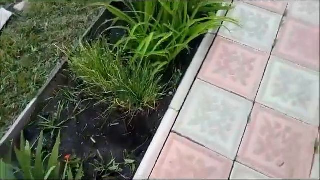 Отцвели уж опять...в саду. смотреть онлайн