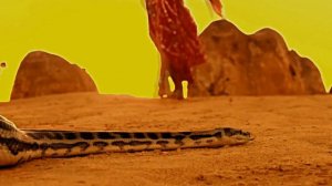 ♔ KORG S ♔ ✦ ЗАБЫТЫЙ СЛАЙД ♔ Sergey K ✦ Modern Beat ✦ (Korg Pa900) ✦