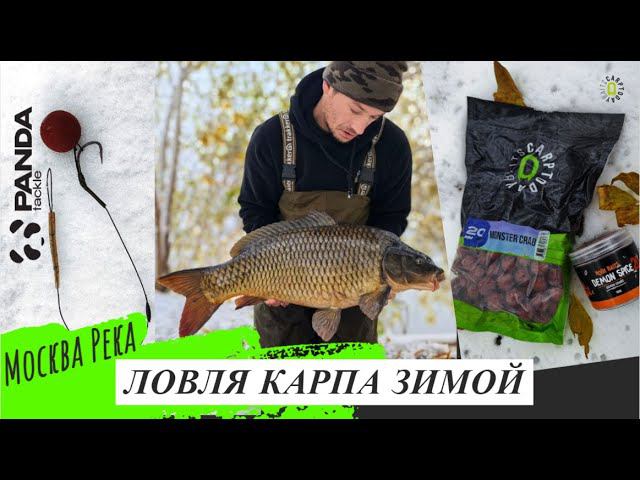 СКУМАЙ ВЛОГ №2.Открытие зимнего сезона КАРПФИШИНГА!