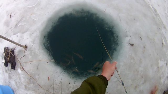 Перемёты!Красномордый налим! 20.12.2021. смотреть онлайн