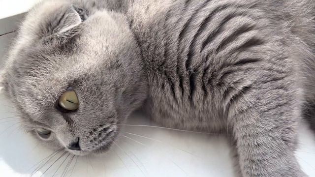 Сделала себе подарок!!! Отличные новости!!!  @NatalyaLim_official