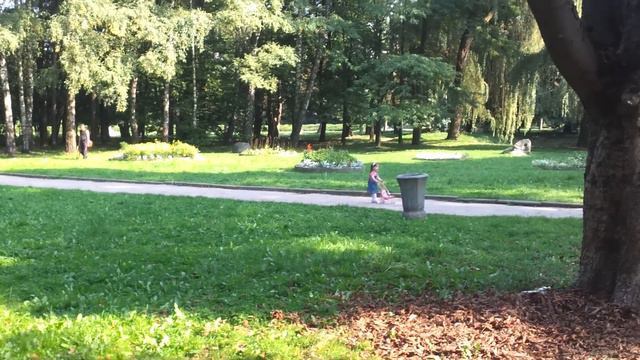 стрыйський парк (львов) очень красиво смотреть онлайн