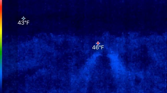 ? Seek Thermal on iPhone with App on Deer смотреть онлайн