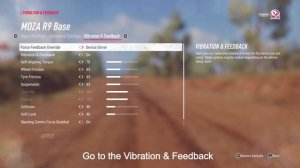 MOZA Parameter Settings Guide | DiRT Rally 2.0