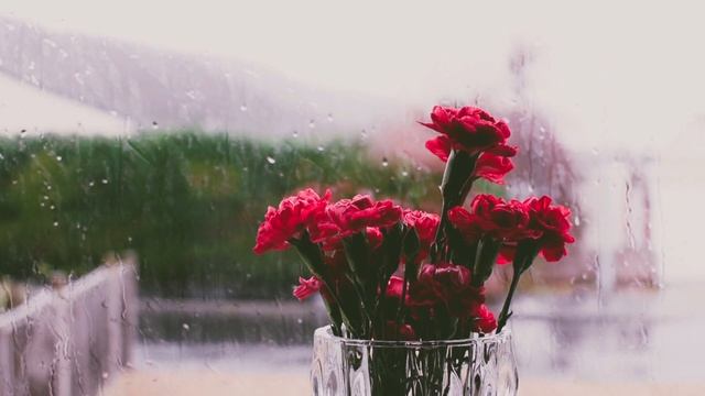 Cozy room ambience ASMR? Rain on window sounds for sleep, study, relaxation. смотреть онлайн