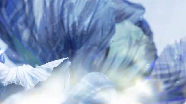 TOP 5 Smartwatches in 2021 - Techniac смотреть онлайн