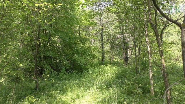 Тест камуфляжа ЕМР - Лето . Лето / Camouflage test Digital flora EMR. Summer. Russian camouflage. смотреть онлайн