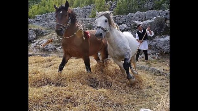 Under the Stars of Balkans смотреть онлайн