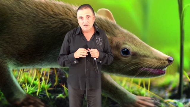 Теория Эволюции Глава 9 Факторы, играющие решающую роль в рождение прародителя человека смотреть онлайн