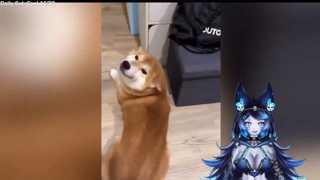 Spite Reacts To GOD MEMES Try Not to LAUGH Challenge IMPOSSIBLE | Best Memes Compilation 2023 смотреть онлайн