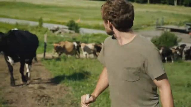 This is Maple Hill смотреть онлайн