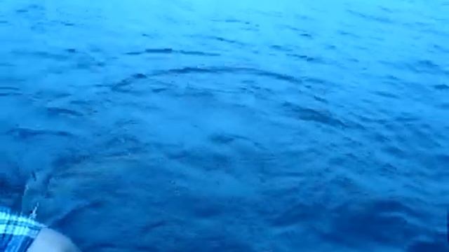 Поимка сома 10Кг смотреть онлайн