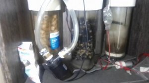 Самодельный фильтр для аквариума своими руками спустя год