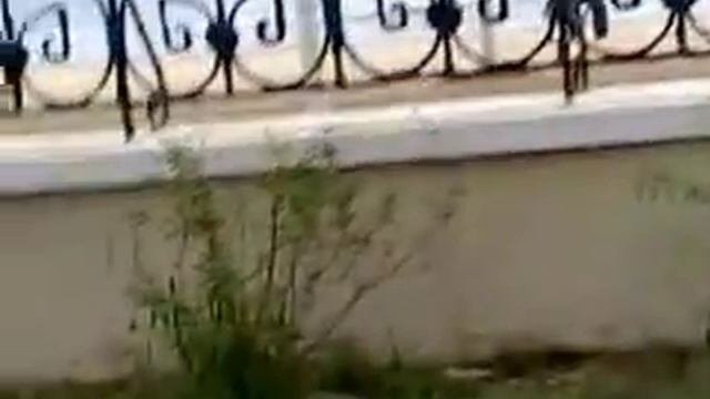 MOV002 18ч22м 23.10.17г. Евпатория,ул.Горького у моря. смотреть онлайн