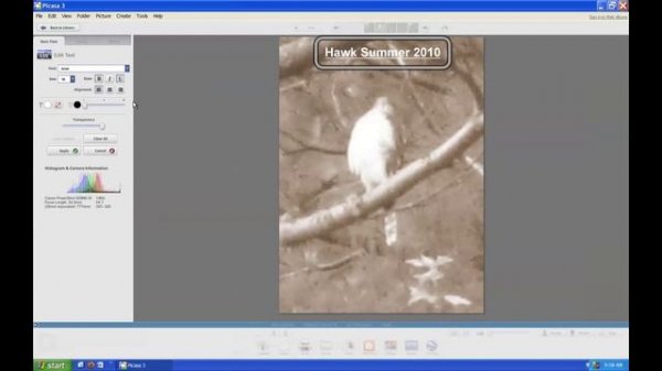 Editing Pictures in Picasa