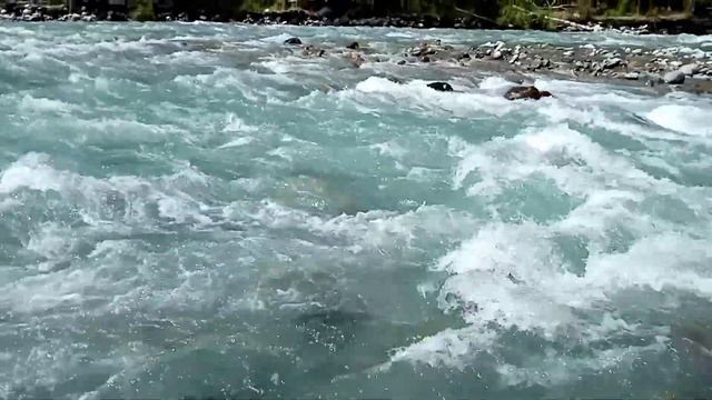 река Кучерла Горнвй Алтай смотреть онлайн