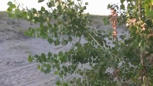 Тестируем Mistral - Pajero 4 - Patrol в песках Самарки смотреть онлайн