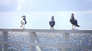 3 й звонок в театре 1