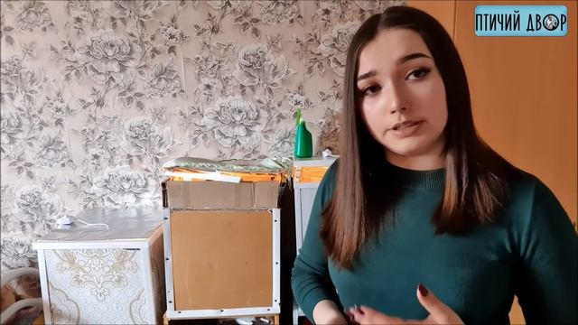 Инкубатор своими руками / плюсы и минусы самодельного инкубатора смотреть онлайн