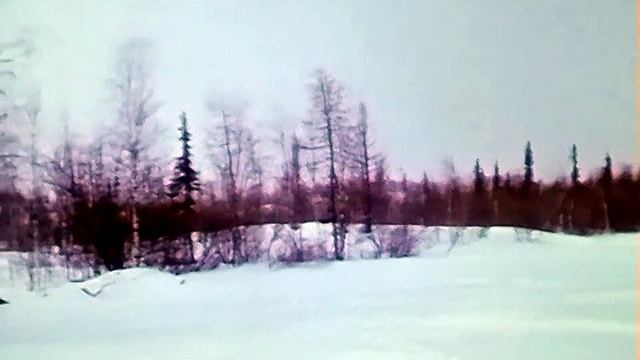 1987 год. Надым. Зимний отдых горожан. смотреть онлайн
