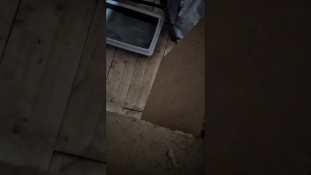 Как же резать оргалит? смотреть онлайн