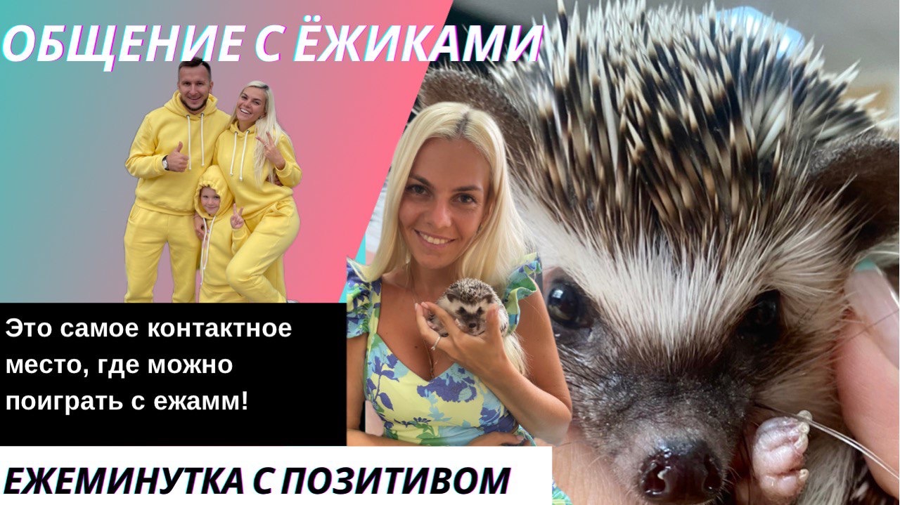 Самое мимимишное место где можно зарядится позитивом?