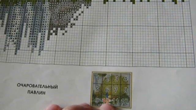 Вышивка крестиком. Очаравательный павлин отчет 2