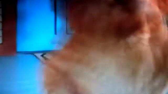 Гарфилд Ой мама не женюсь смотреть онлайн
