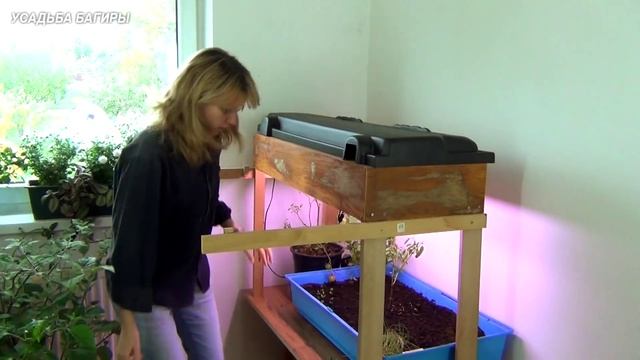 Домашний огород (ч.2). Освещение. смотреть онлайн