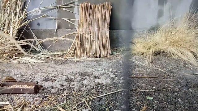 Дикий перепел, вяхирь, горлицы в вольере. Бедана,batair смотреть онлайн