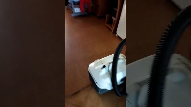 обзор на дом и кошки которая в темноте смотреть онлайн