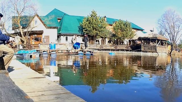 Один день в КРХ "Усадьба соколиное гнездо" д. Соколово. 19.04.2019. смотреть онлайн