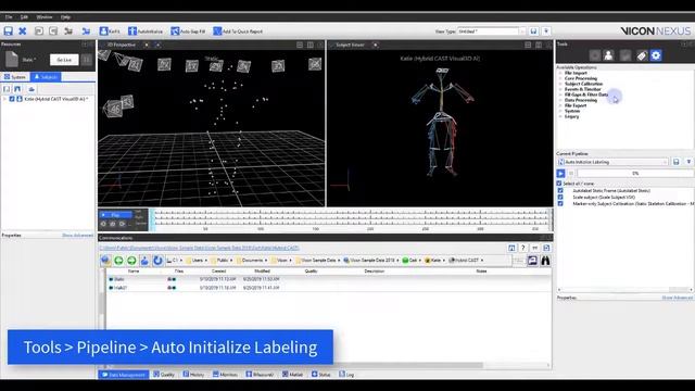 Nexus 2 How To - Hybrid CAST Visual3D VST смотреть онлайн