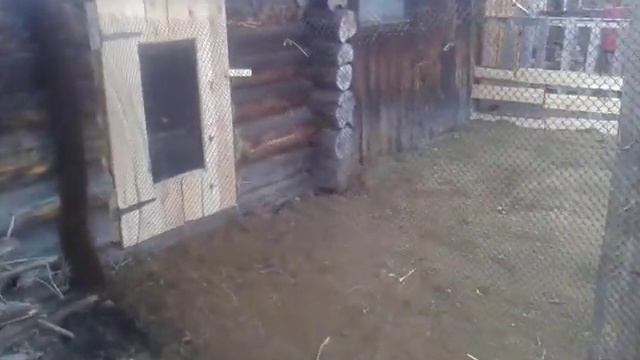 Техническое прогнозирование