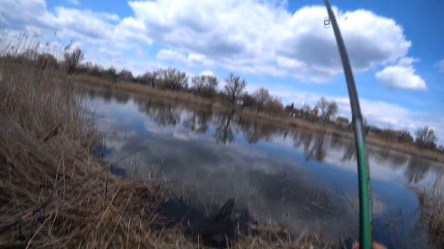 В погоне за карасем растояние не имеет значения) смотреть онлайн