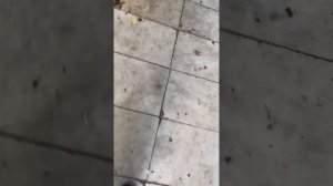 Открываем домофоны 2 часть