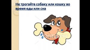 ОБЖ / 1-класс / Как вести себя с четвероногими друзьями"
