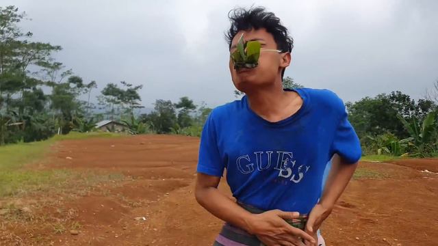 Tui Tui Best Funny Video :D Tui Tui New Amazing Top Comedy By My Fun Tv