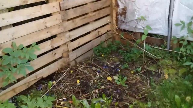 Перед тем как ехать на праздник День Рождения Т Ц Капитолий смотреть онлайн