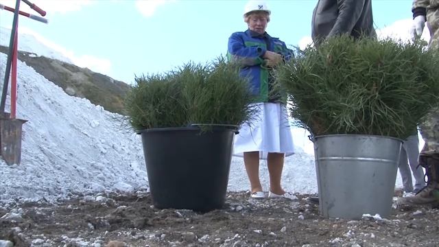 Живая среда ПОЧВА смотреть онлайн