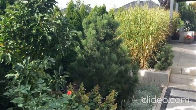 Для Ютуб 2 смотреть онлайн