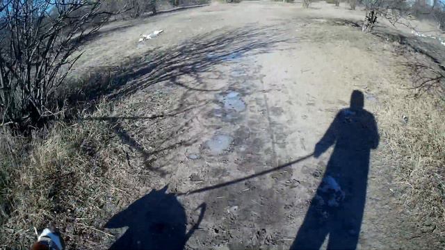 ОГРОМНАЯ ДВОРНЯГА ПОНЯЛА ЧЕМ ДЕЛО КОНЧИТСЯ смотреть онлайн
