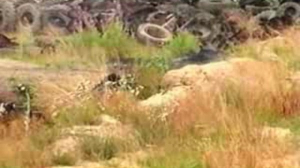 Снайпер против снайпера