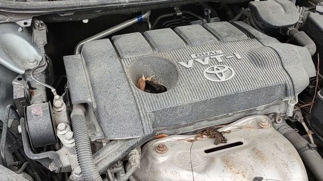 LL1663 2009 VENZA 2.7L AWD смотреть онлайн