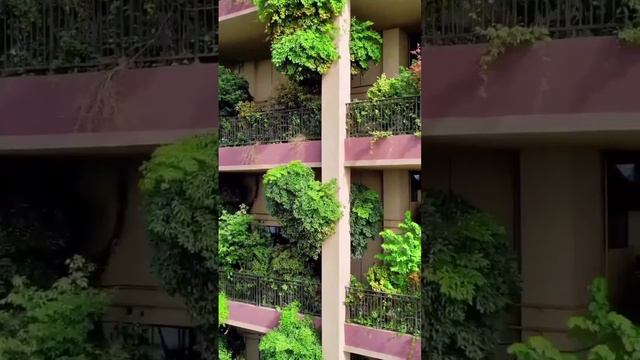 Крах гениального проекта. смотреть онлайн