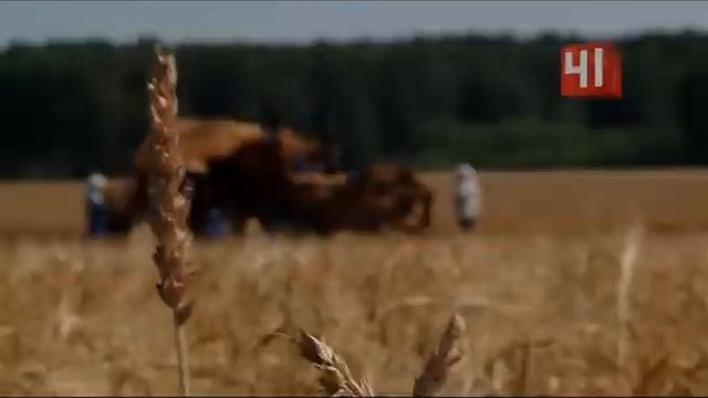 Льняное масло вместо оливкового смотреть онлайн