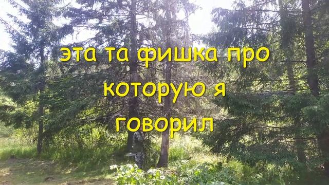 # 36 Дом в лесу окна,велопрогулка,убираем деревья вокруг пруда!!!!! смотреть онлайн